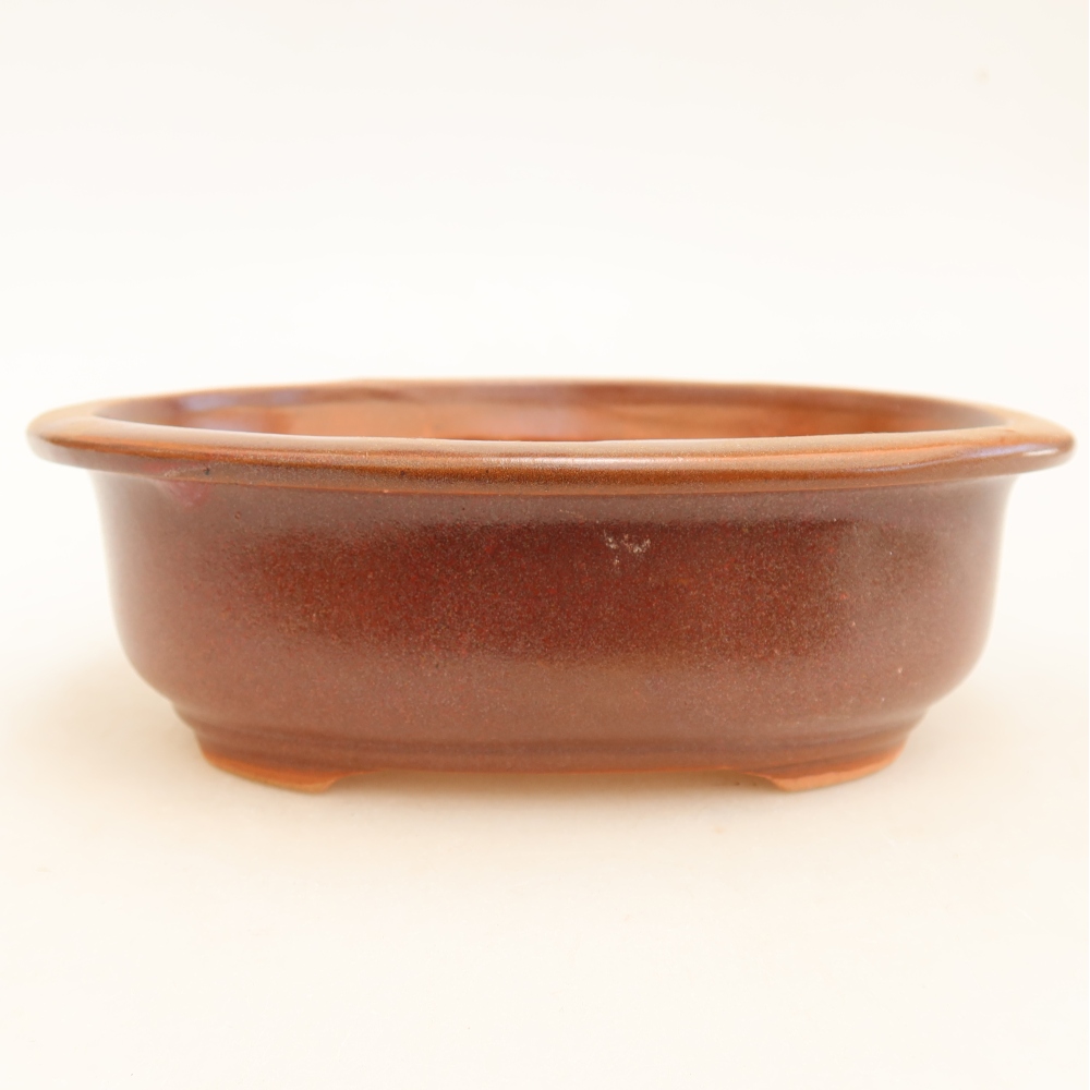 Ceramiczna miska do bonsai 18 x 14,5 x 5,5 cm, kolor bordowy