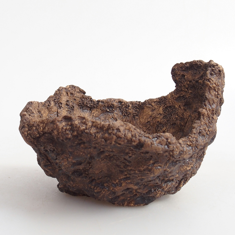 Ceramiczna muszla 9 x 8 x 7 cm, kolor brązowy