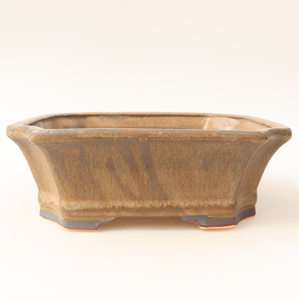 Ceramiczna miska do bonsai 18 x 15,5 x 6 cm, kolor brązowy