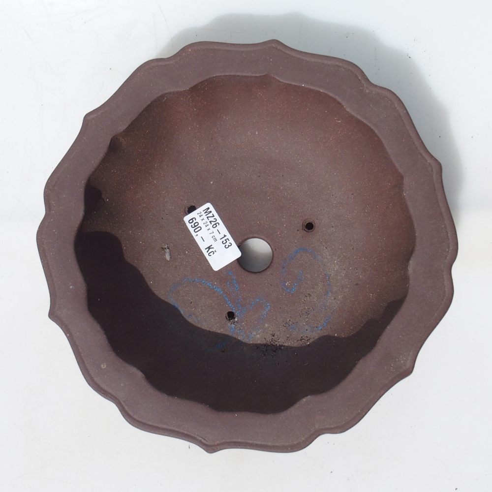 Misa bonsai 24 x 24 x 7 cm brzoza brązowa