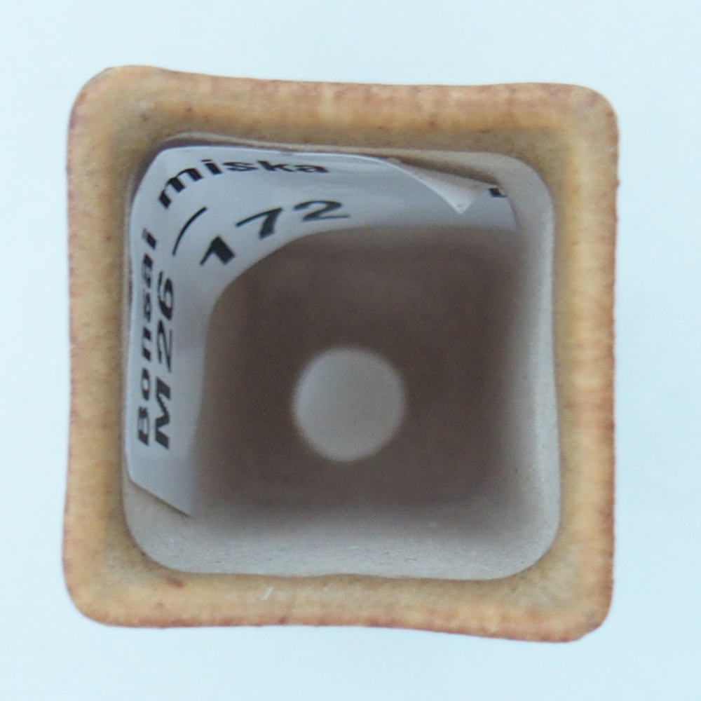 Mini miska do bonsai 2 x 2 x 5 cm, brązowa