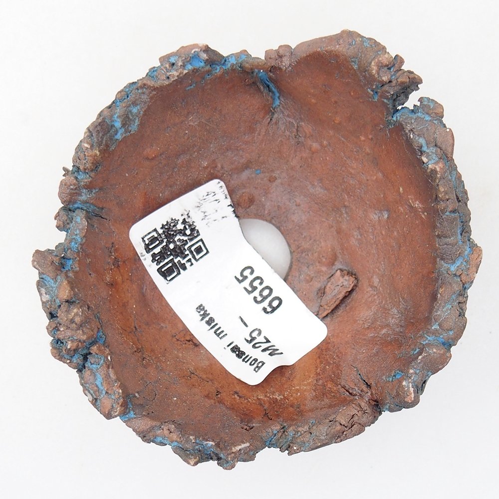 Ceramiczna muszla 7,5 x 7 x 3,5 cm, kolor niebieski