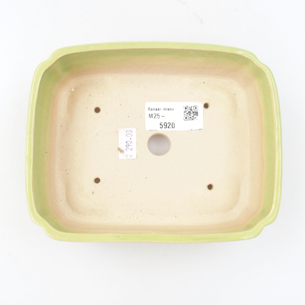 Ceramiczna miska bonsai 15 x 12 x 4,5 cm, kolor zielony