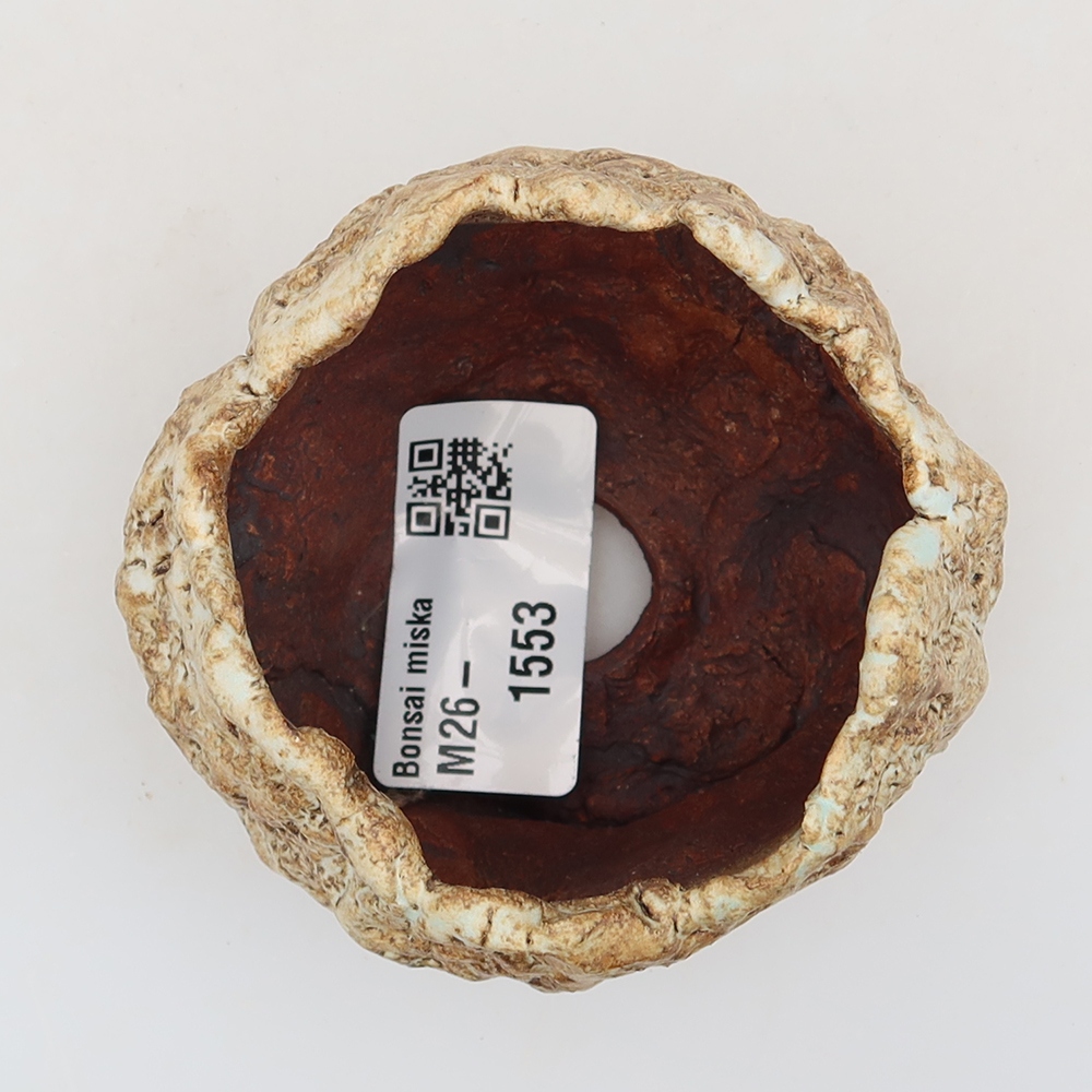 Ceramiczna skorupka  5,5 x 5,5 x 5,5 cm, kolor beżowo-brązowy