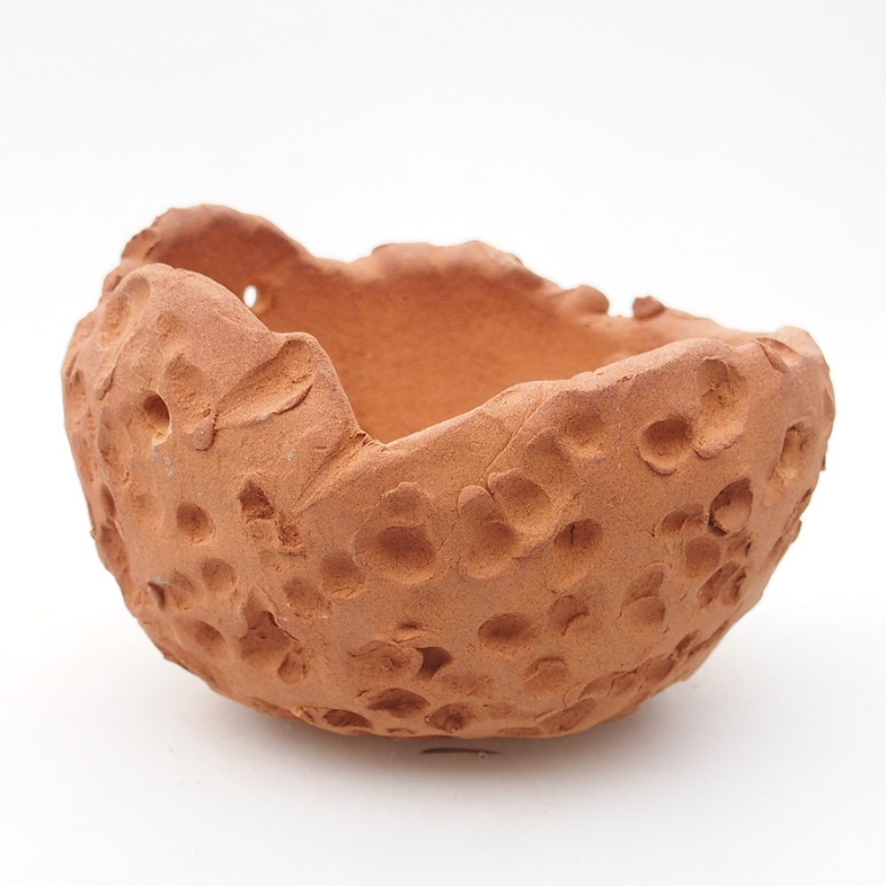 Muszla ceramiczna 13 x 14 x 9,5 cm, kolor brązowy