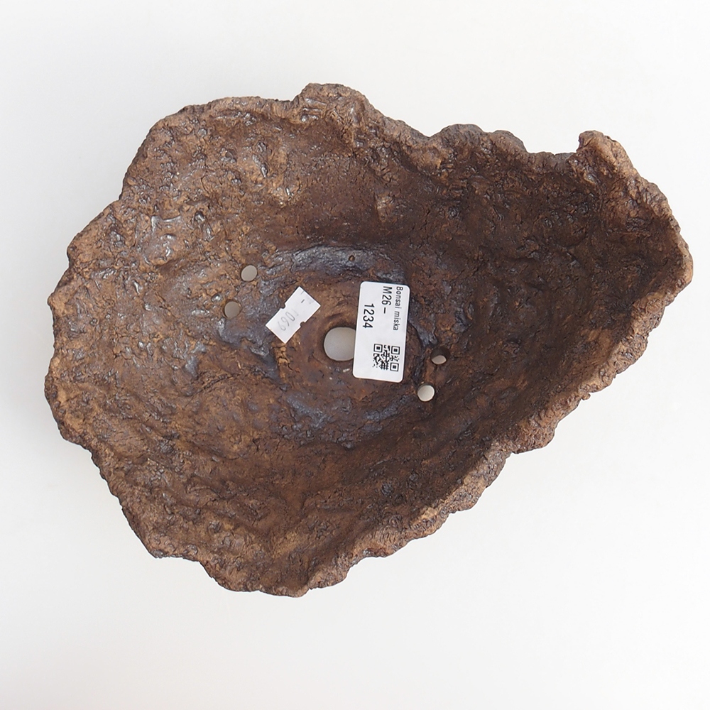 Ceramiczna skorupa 19 x 15 x 14 cm, kolor brązowy