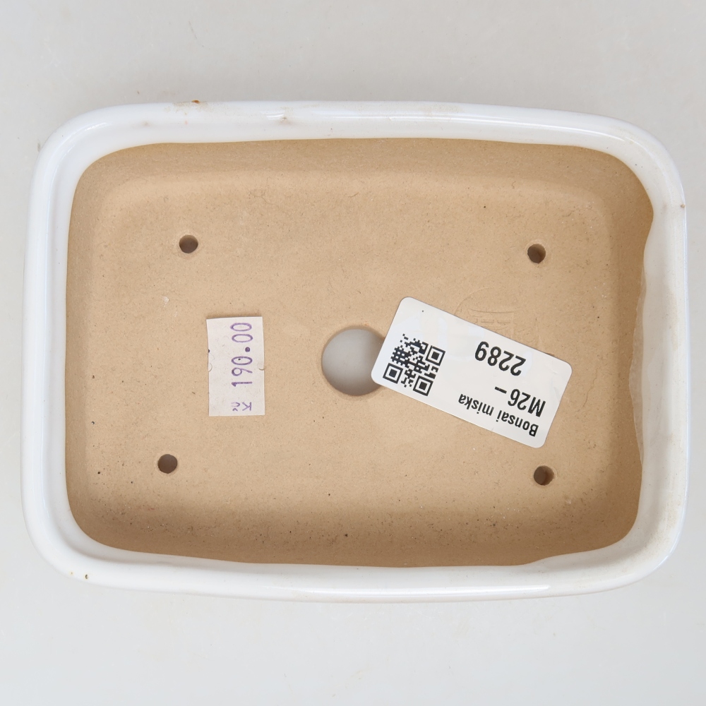 Ceramiczna miska do bonsai 13 x 9,5 x 3,5 cm, kolor biały