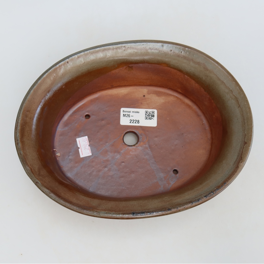 Ceramiczna miska do bonsai 22 x 17,5 x 6,5 cm, kolor brązowy