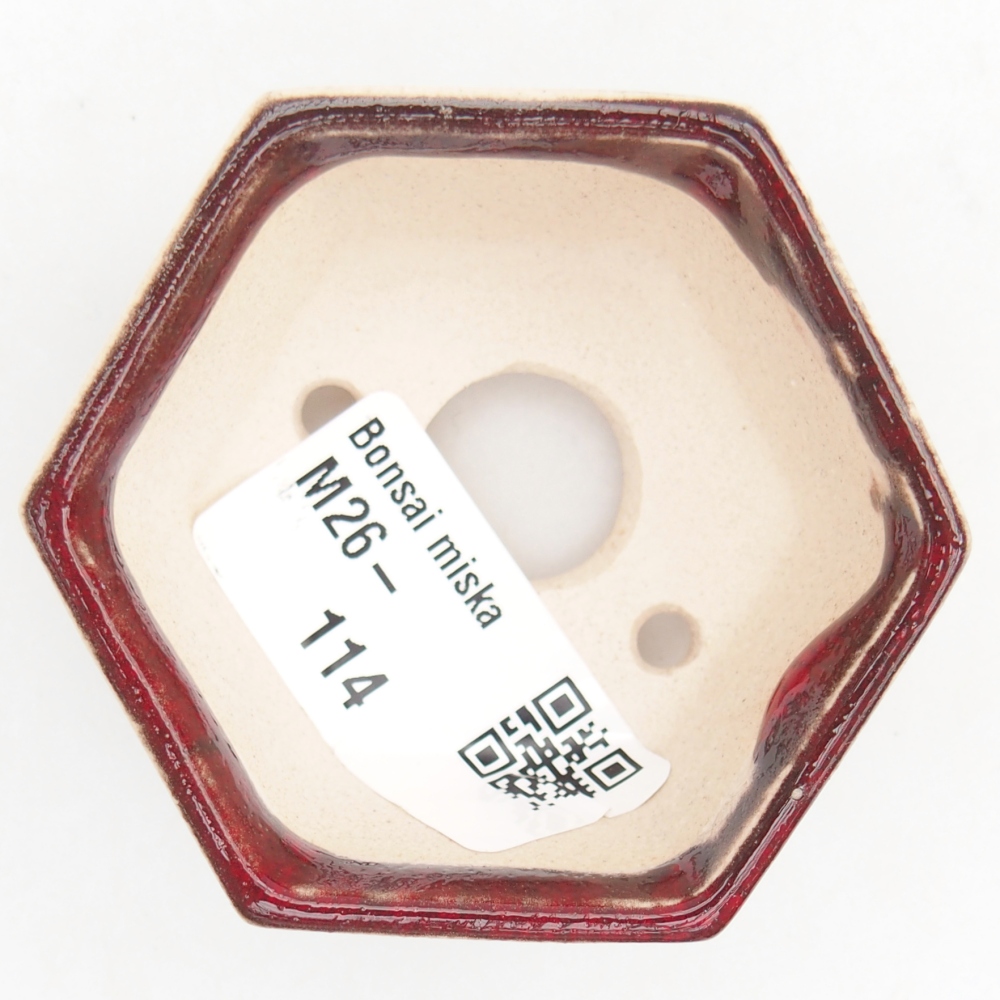 Mini miska do bonsai 6 x 5,5 x 3 cm, kolor czerwony