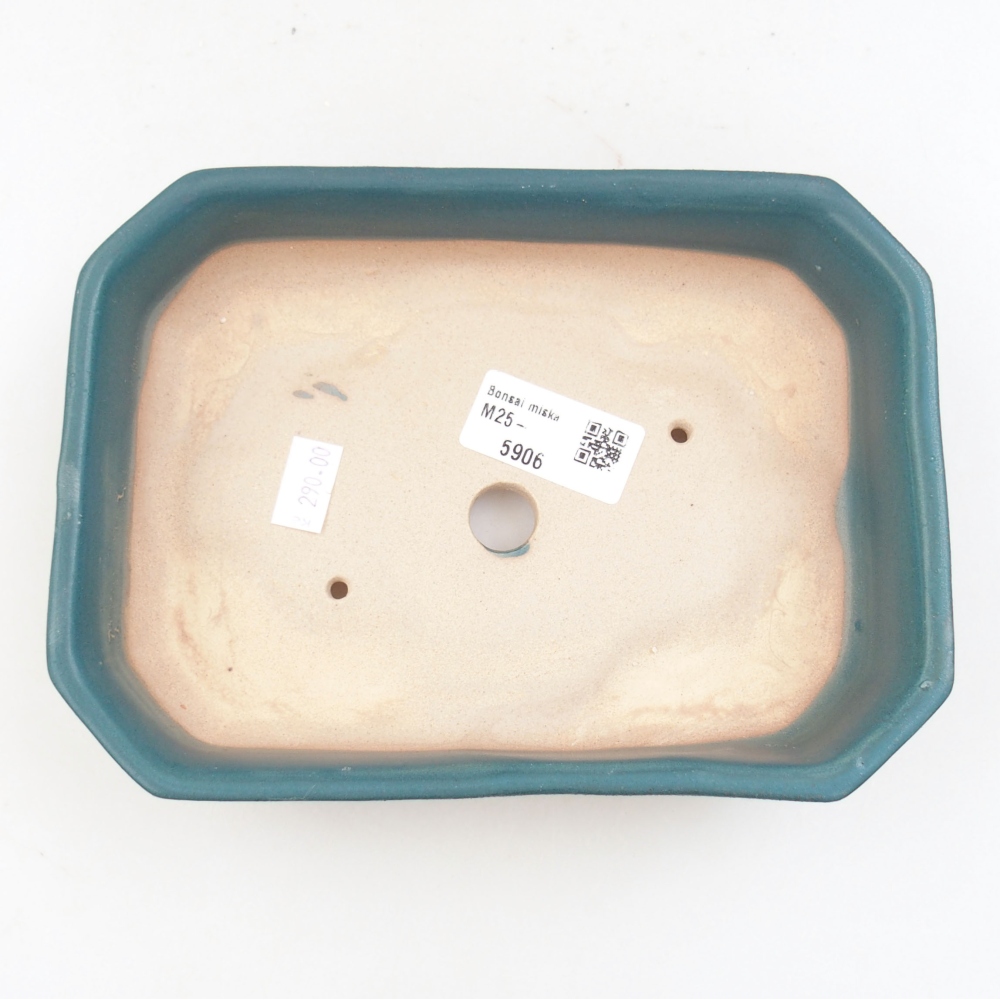 Ceramiczna miska bonsai 19 x 13,5 x 4,5 cm, kolor niebieski