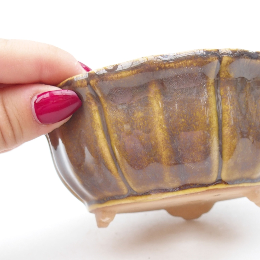 Ceramiczna miska bonsai 11,5 x 11,5 x 5 cm, kolor Żółty