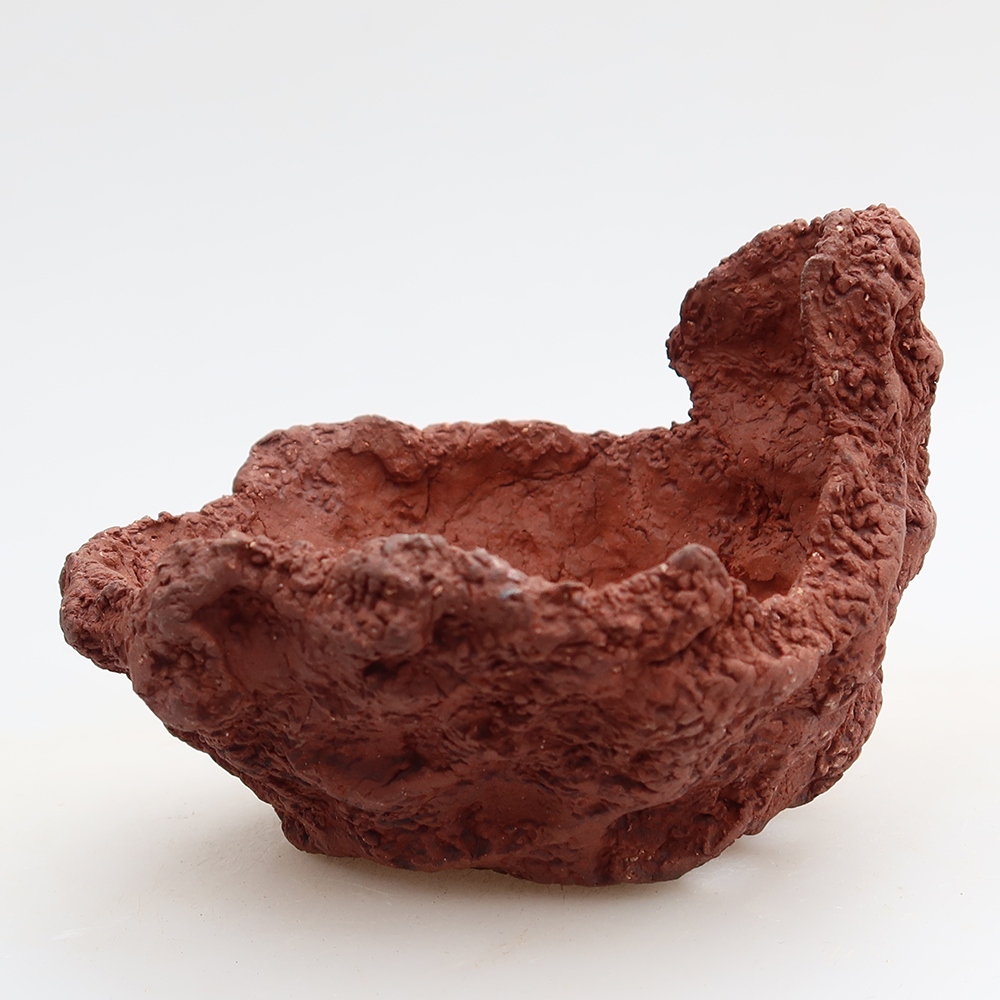 Ceramiczna skorupa 10 x 8 x 7 cm, kolor brązowy