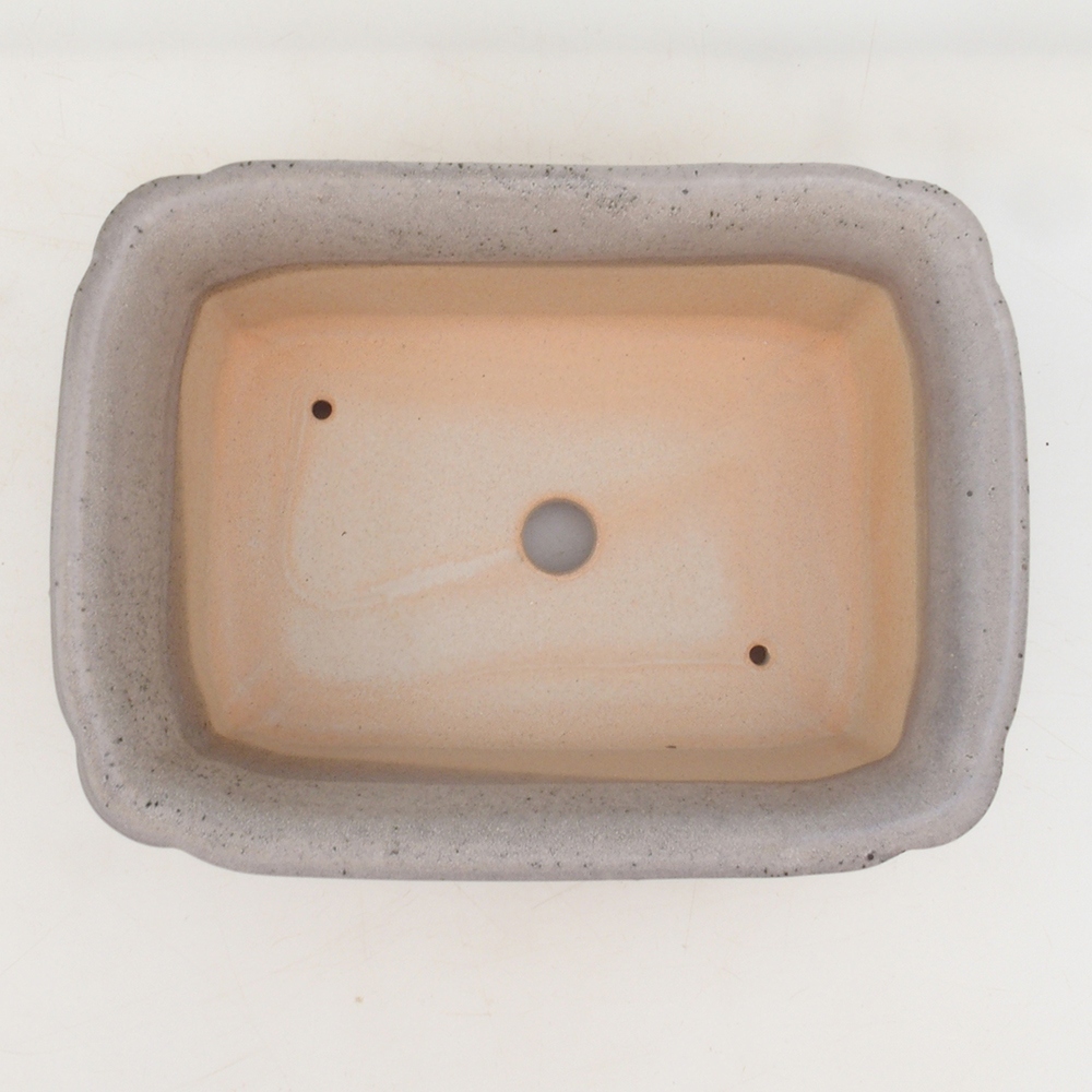 Spodek bonsai H50 - 17 x 12,5 x 5,5 cm. - zielony