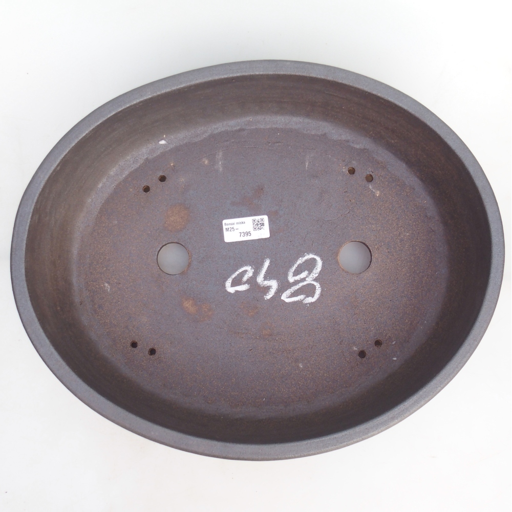 Misa bonsai 39 x 31,5 x 9,5 cm, kolor brązowy