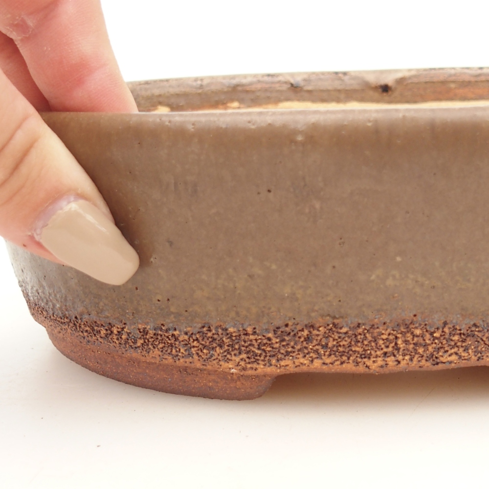 Misa do bonsai 19,5 x 16 x 6 cm, kolor brązowy
