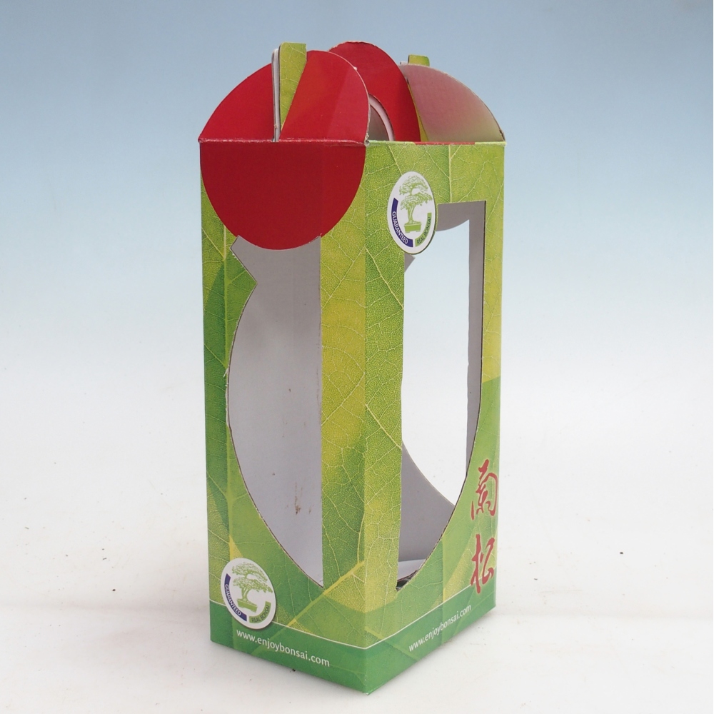 Papierowe pudełko na bonsai na prezent