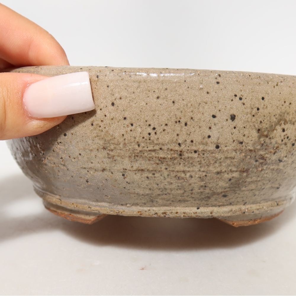 Ceramiczna miska do bonsai 14 x 14 x 5,5 cm, kolor beżowy