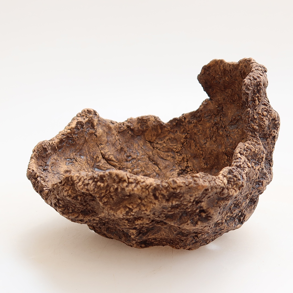 Ceramiczna muszla 10 x 10 x 8 cm, kolor brązowy