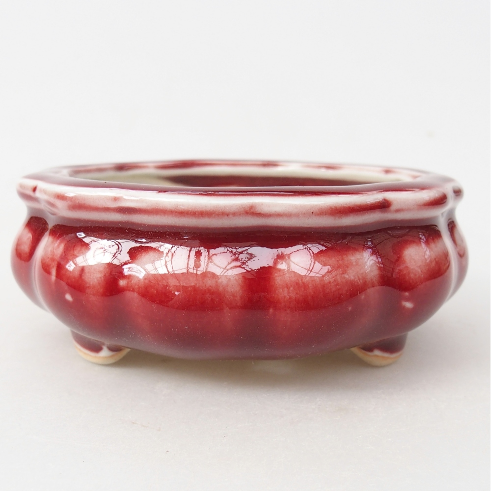Ceramiczna miska do bonsai 10 x 10 x 4 cm, kolor czerwony