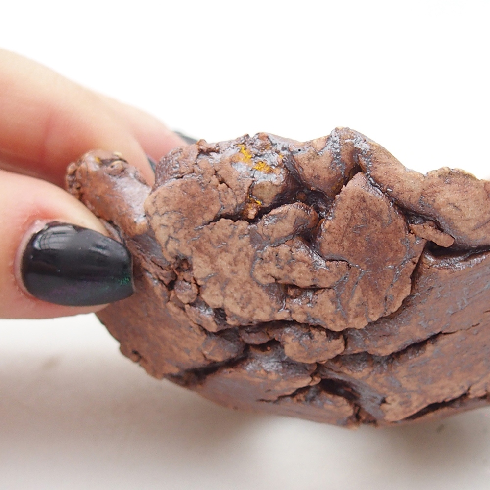 Muszla ceramiczna 9 x 8,5 x 4,5 cm, kolor brązowy