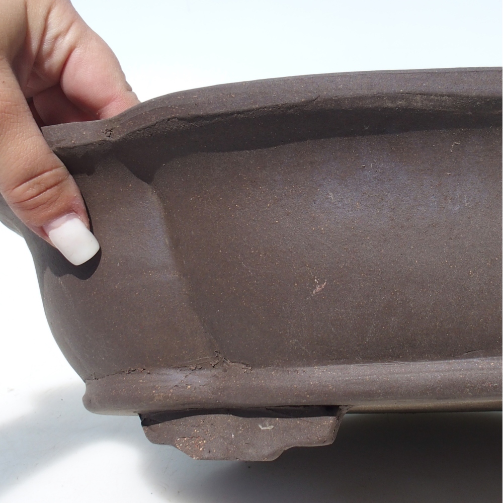 Misa bonsai 40 x 32 x 10,5 cm brzoza brązowa