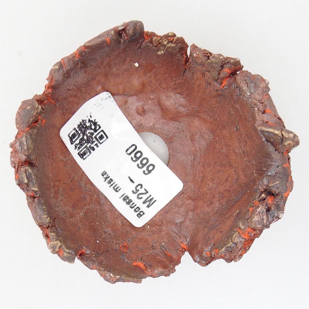 Ceramiczna muszla 7 x 7 x 4 cm, kolor pomarańczowy