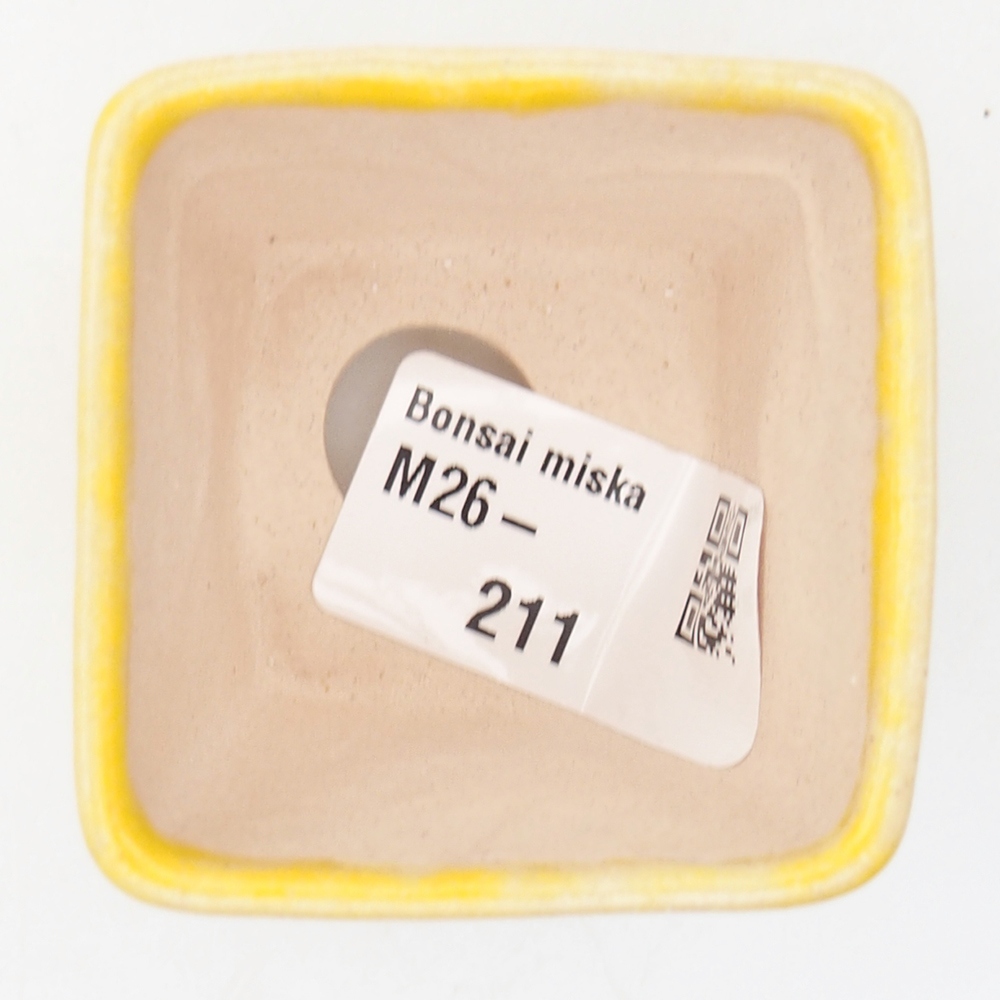 Mini miska do bonsai 5 x 5 x 5 cm, żółta
