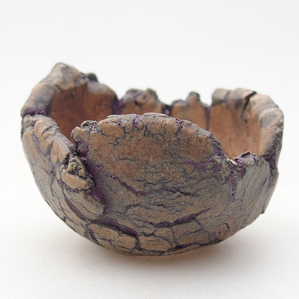 Ceramiczna muszla 5,5 x 5 x 4 cm, kolor fioletowy