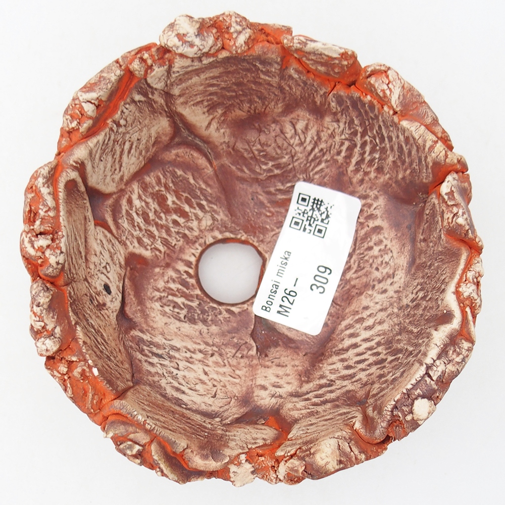 Muszla ceramiczna 11 x 11 x 6 cm, kolor pomarańczowy