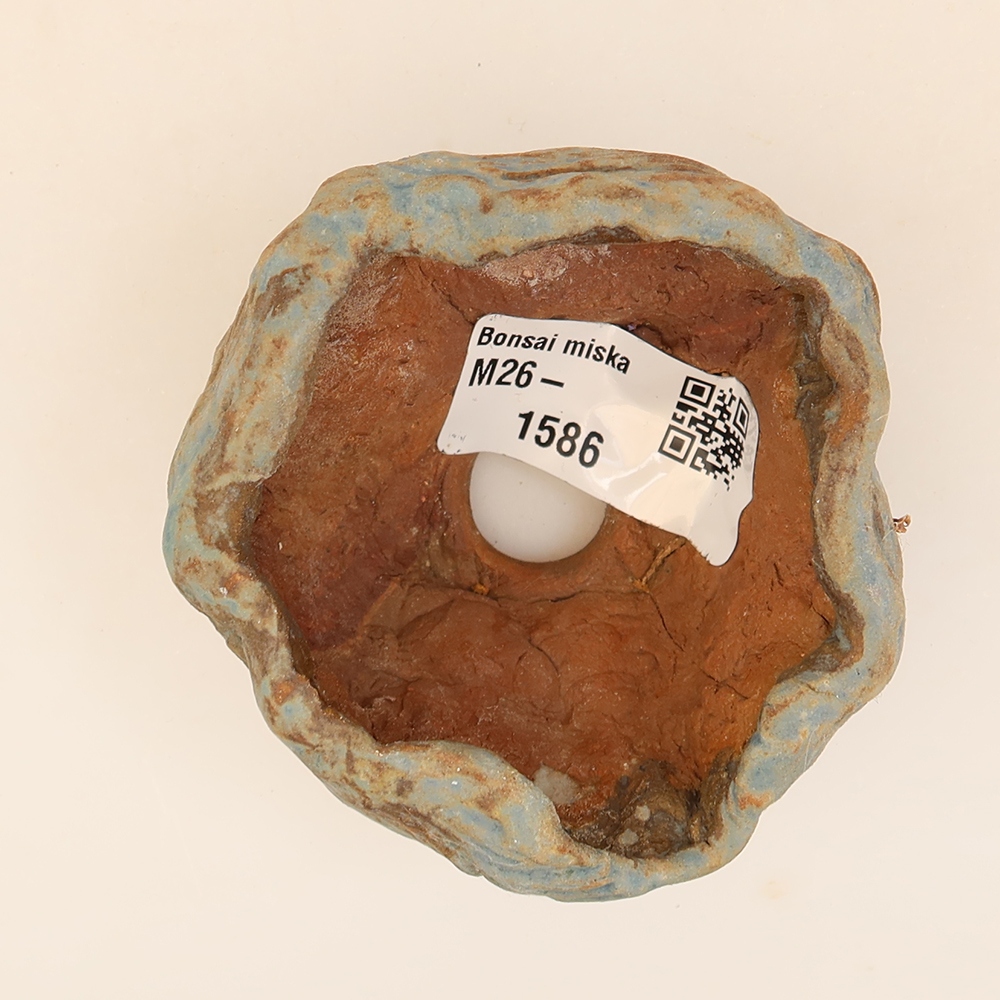 Ceramiczna skorupka  5,5 x 5,5 x 4,5 cm, kolor niebieski