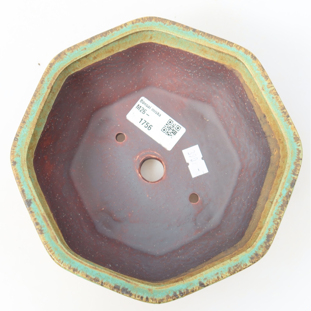 Ceramiczna miska do bonsai 17 x 16 x 6,5 cm, kolor zielony