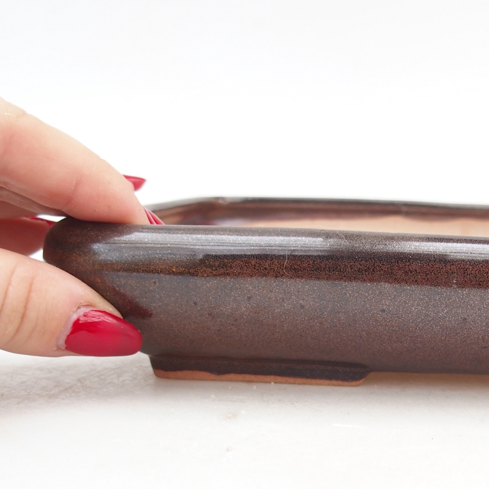 Ceramiczna miska do bonsai 24 x 17,5 x 4 cm, brązowa