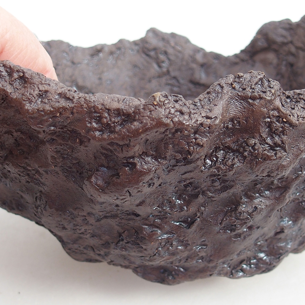 Ceramiczna skorupa 19 x 15 x 14 cm, kolor brązowy