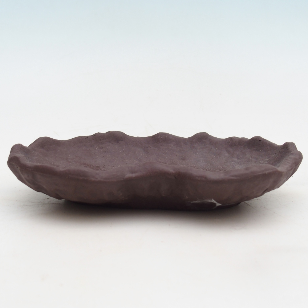 Muszla ceramiczna 17 x 12 x 3 cm, kolor brązowy