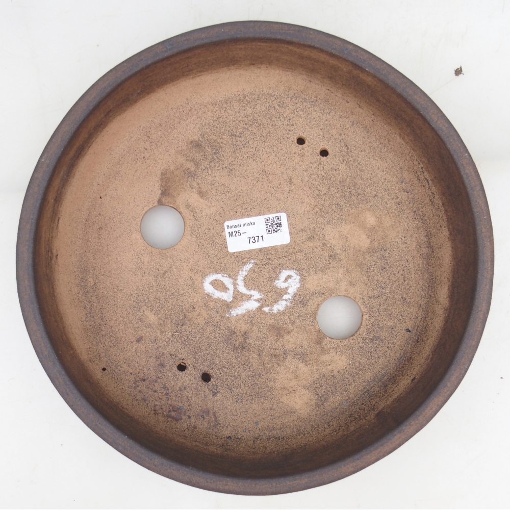 Misa bonsai 27 x 27 x 7 cm, kolor brązowy