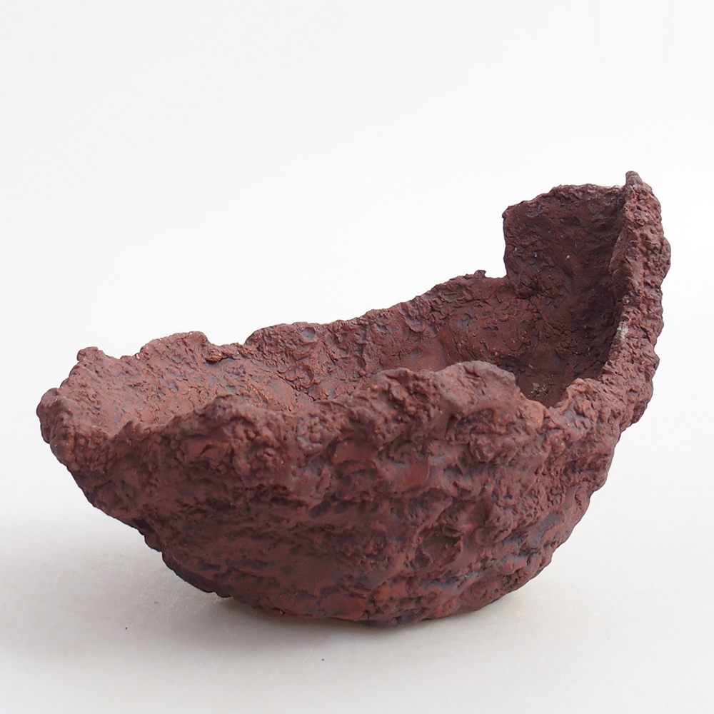 Ceramiczna muszla 13 x 11,5 x 10,5 cm, kolor brązowy