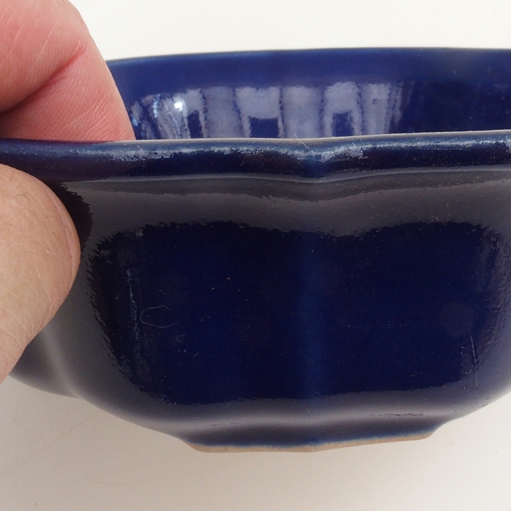 Bonsai bowl H16 - 14,5 x 14,5 x 5 cm. - niebieski