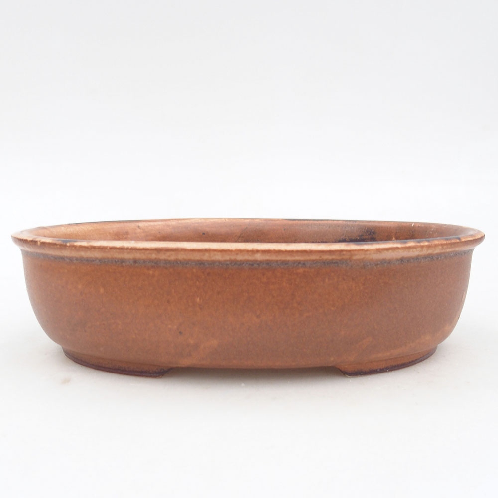 Ceramiczna miska na bonsai 19 x 14 x 5 cm, brązowa