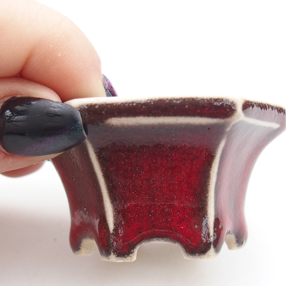 Mini miska do bonsai 5,5 x 5 x 3 cm, kolor czerwony