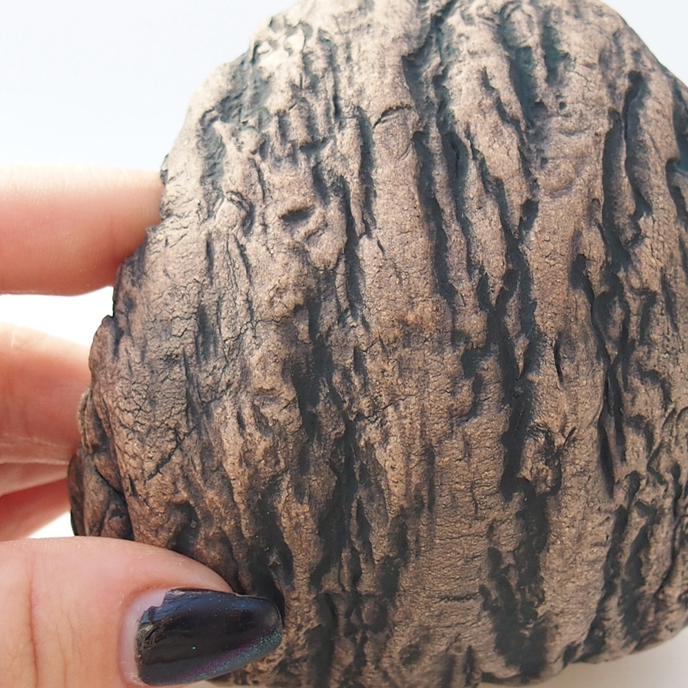 Ceramiczna muszla 10 x 9,5 x 10 cm, kolor brązowy