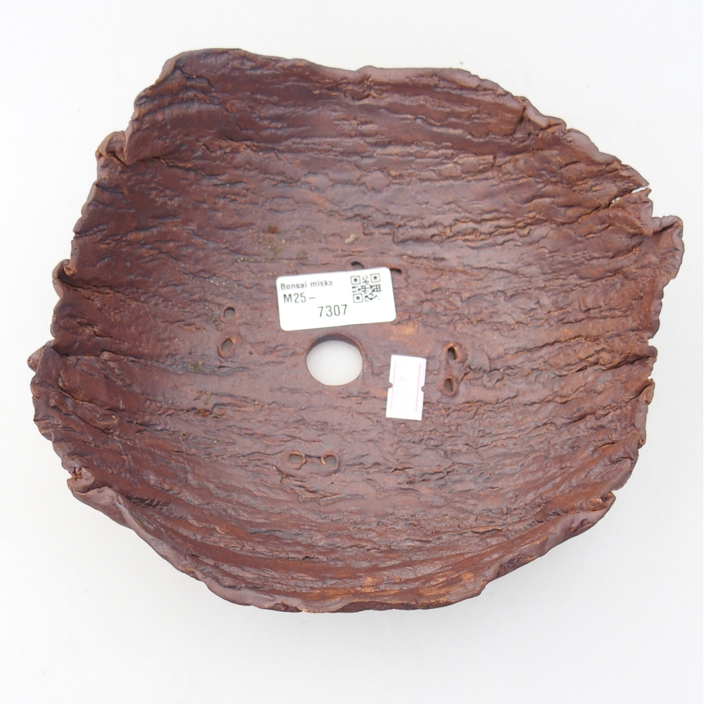 Ceramiczna muszla 20 x 17,5 x 7 cm, kolor brązowy