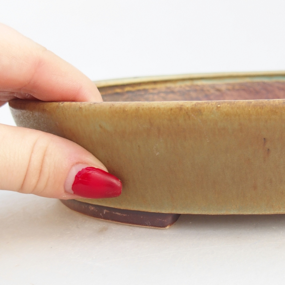 Ceramiczna miska na bonsai 23 x 20 x 4,5 cm, zielona