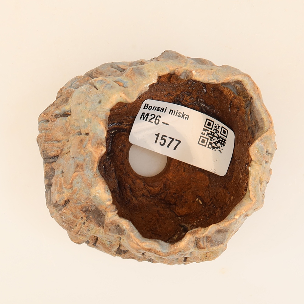 Ceramiczna skorupka  5,5 x 5 x 6 cm, kolor niebieski