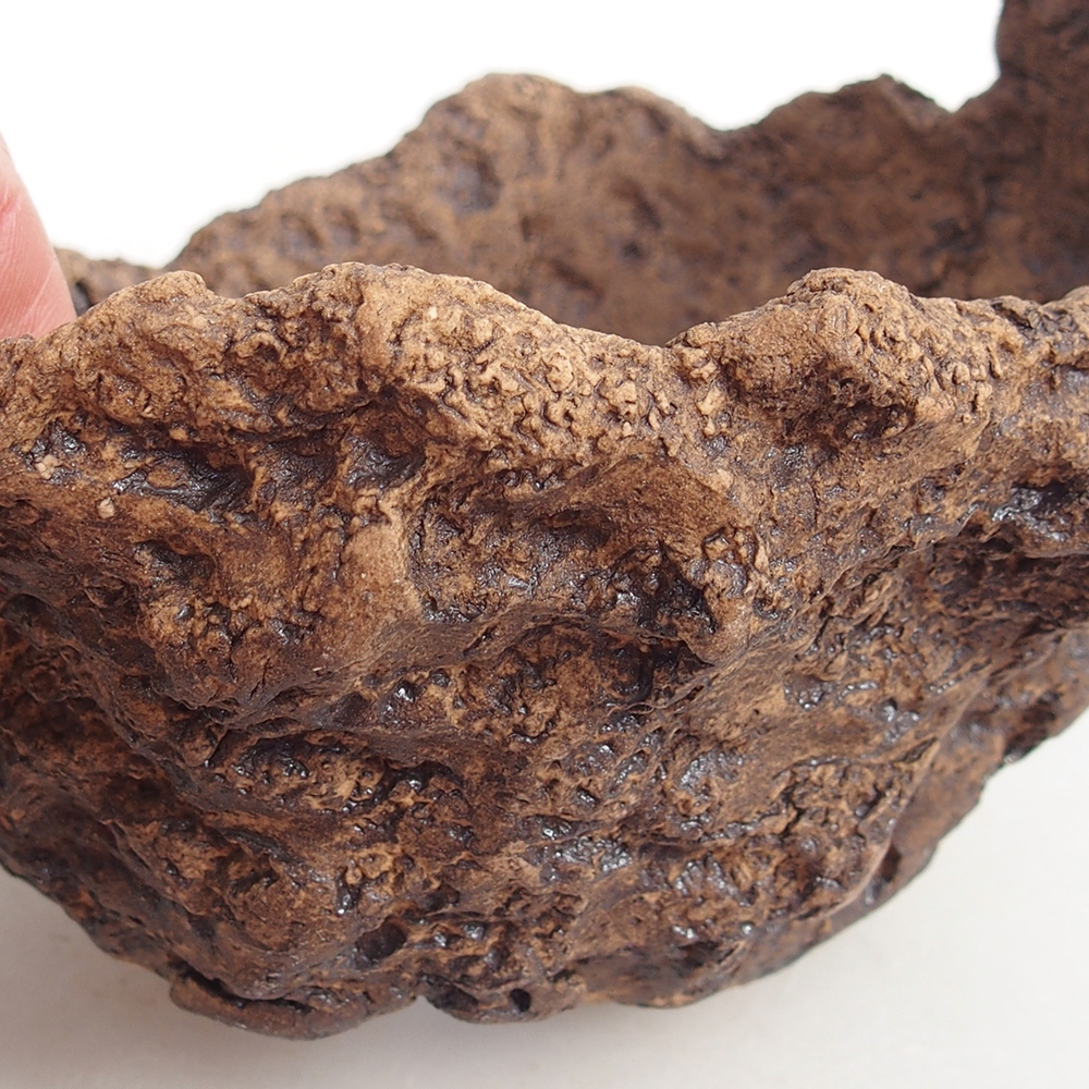 Ceramiczna muszla 13,5 x 12 x 11,5 cm, kolor brązowy