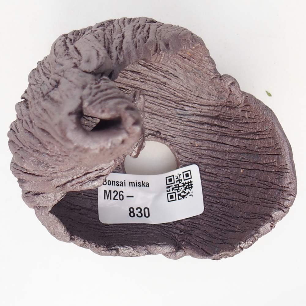 Muszla ceramiczna 8 x 9 x 12,5 cm, kolor metaliczny