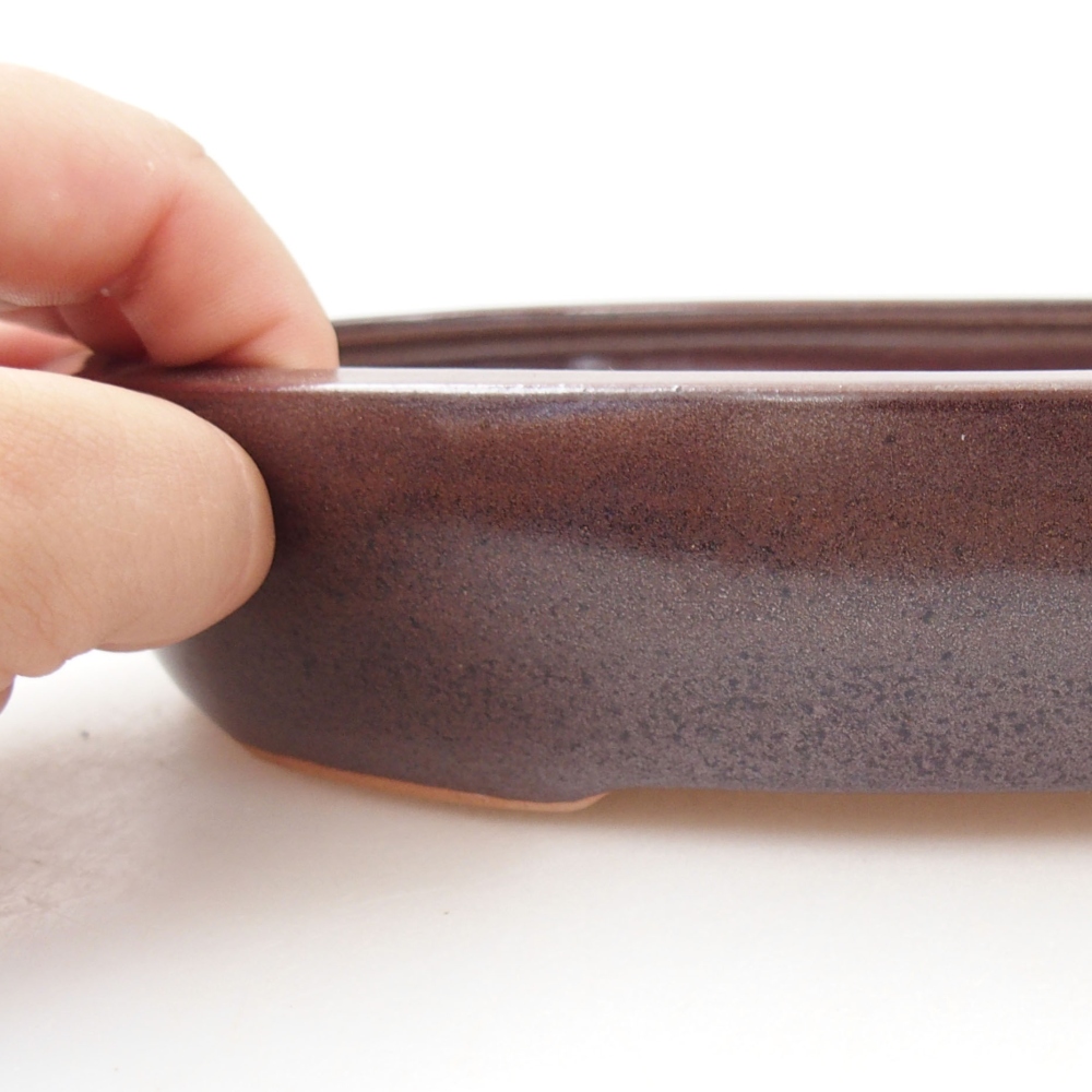 Ceramiczna miska bonsai 22 x 16,5 x 4 cm, kolor brązowy