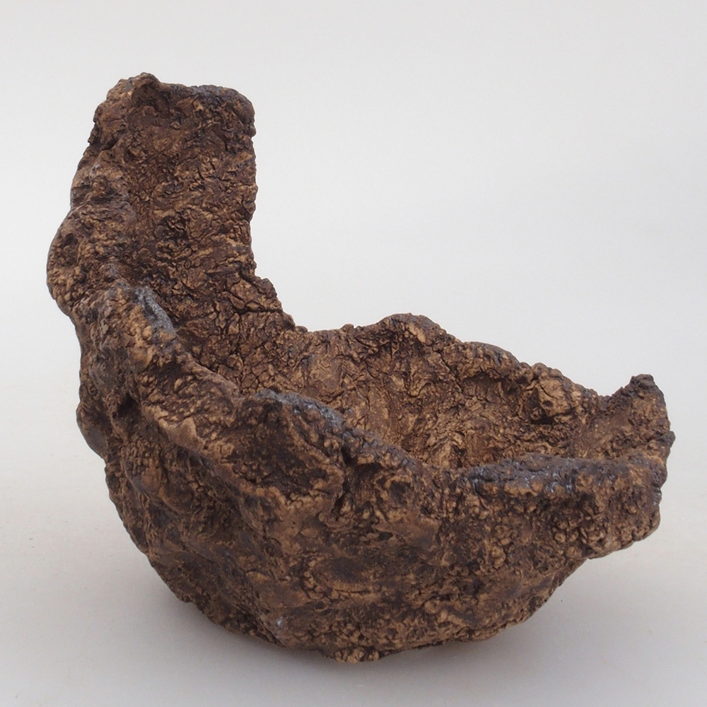 Muszla ceramiczna 9,5 x 8 x 10 cm, kolor brązowy