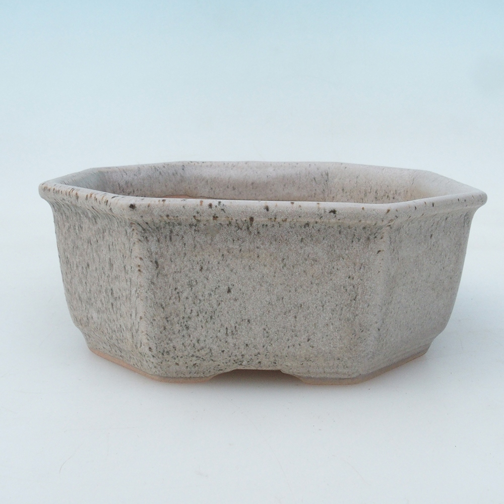 Bonsai bowl H13 - 12,5 x 12,5 x 4,5 cm. - beżowy