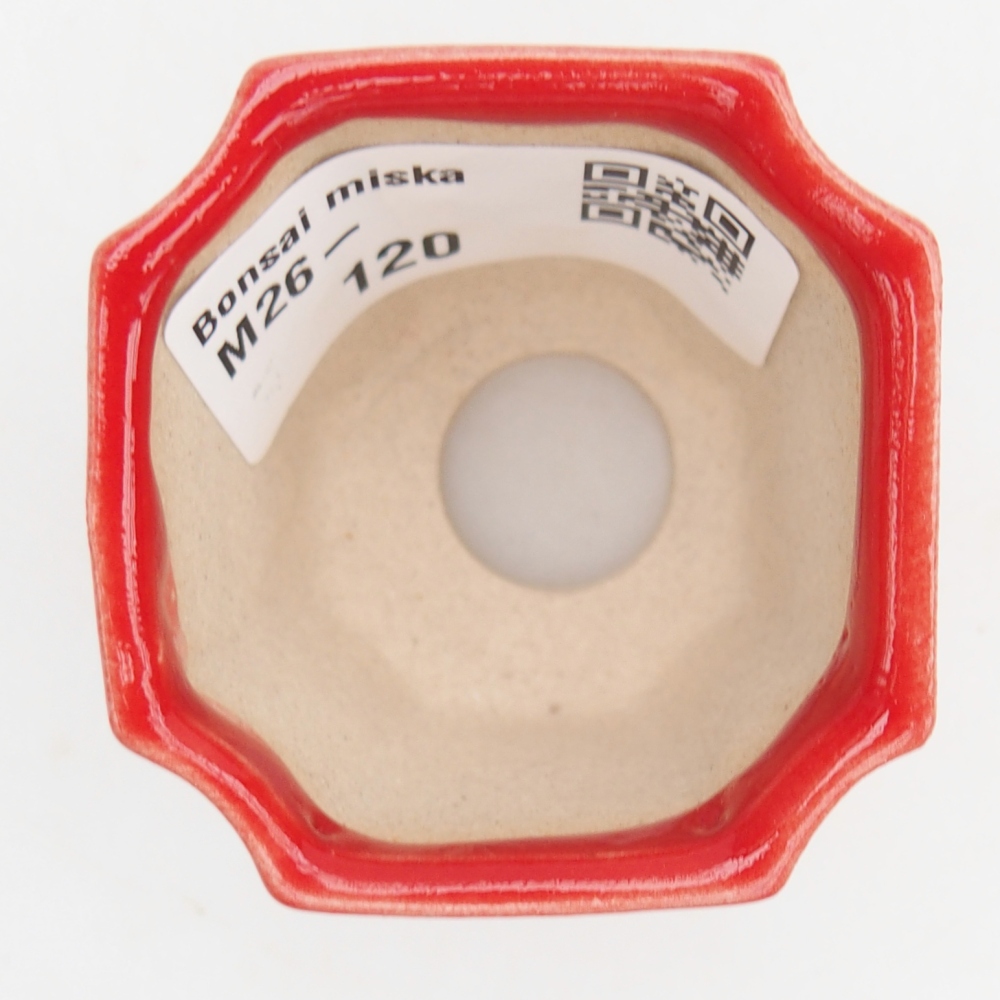 Mini miska do bonsai 4,5 x 4,5 x 4 cm, kolor czerwony