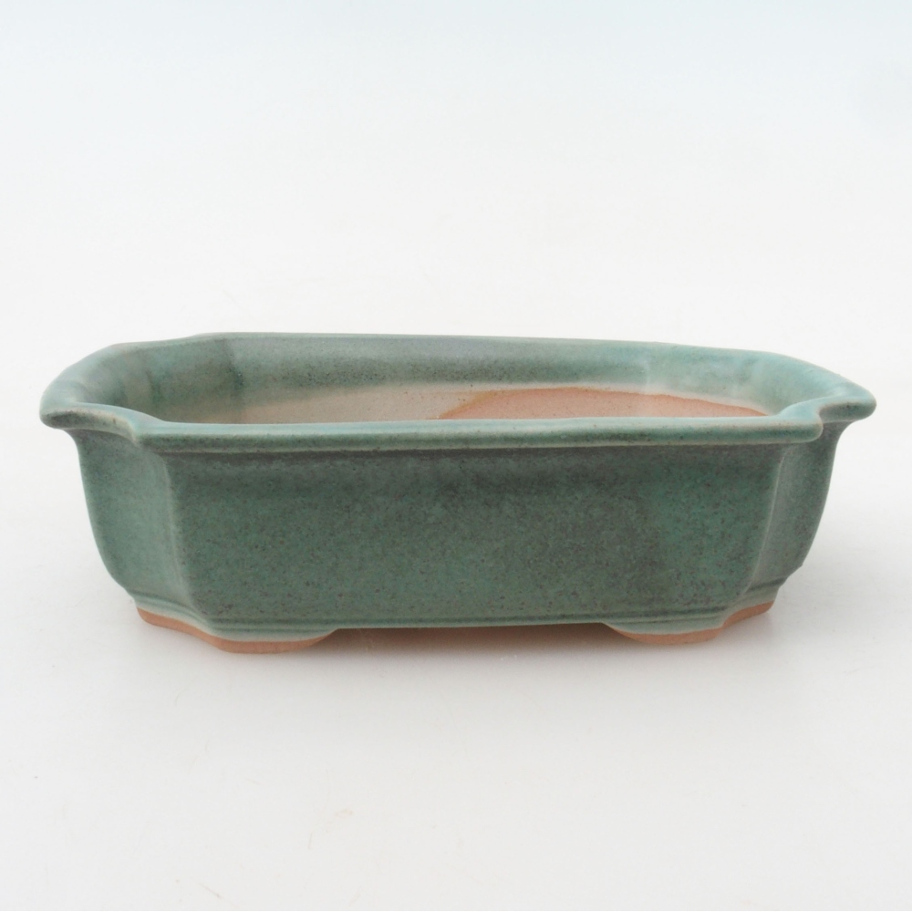 Bonsai bowl H03 - 16,5 x 12 x 4,5 cm. - zielony